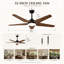 Ventilateur de plafond moderne en bois massif 52 "avec lumière-573097163-573097013