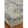 Neerav Wool Oriental Area Rug in Ivory