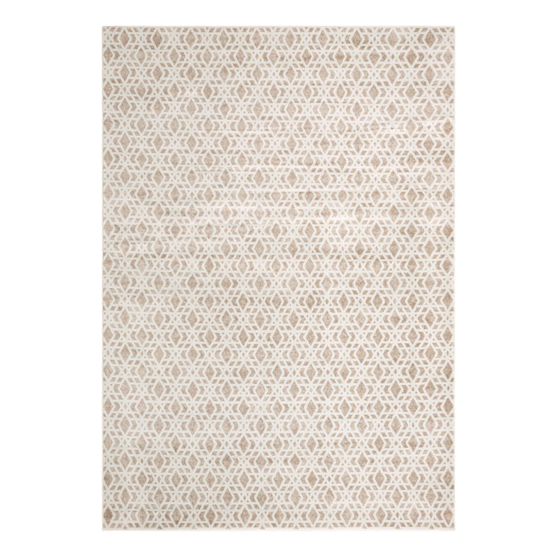 Fethiye Botkins Rug, Rectangle 10' x 14'1"