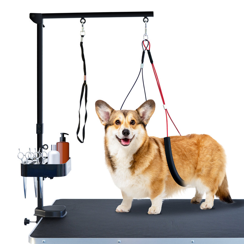 Bras de toilettage pour animaux avec pince pour chiens
