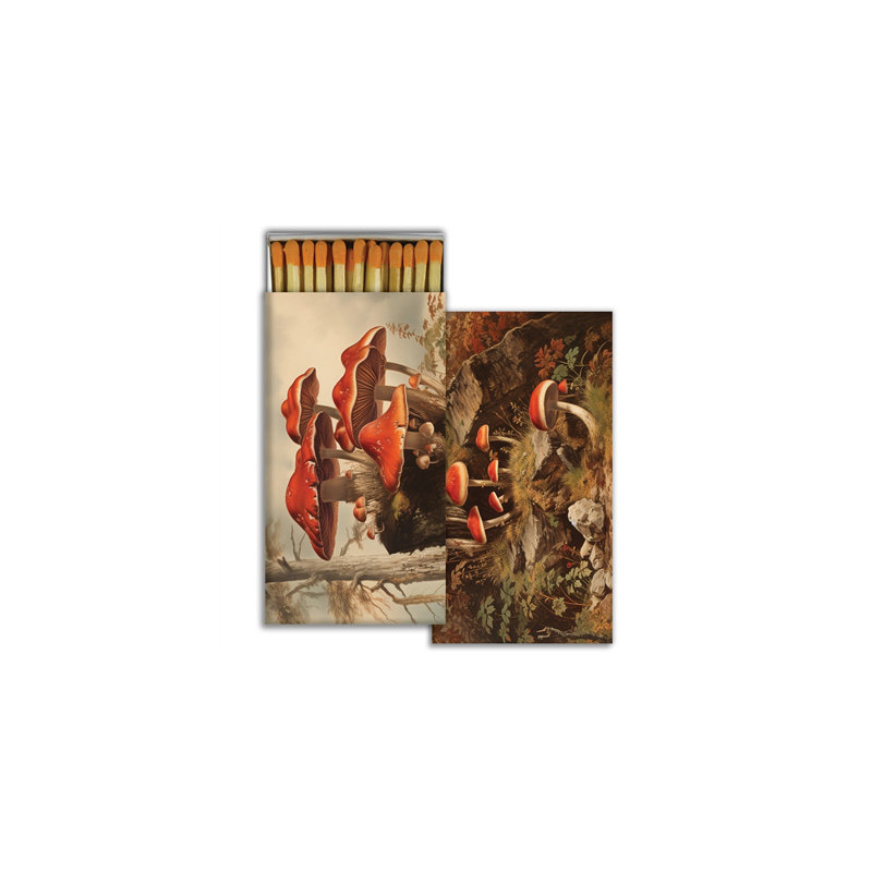 Matches - Champignons d'automne
