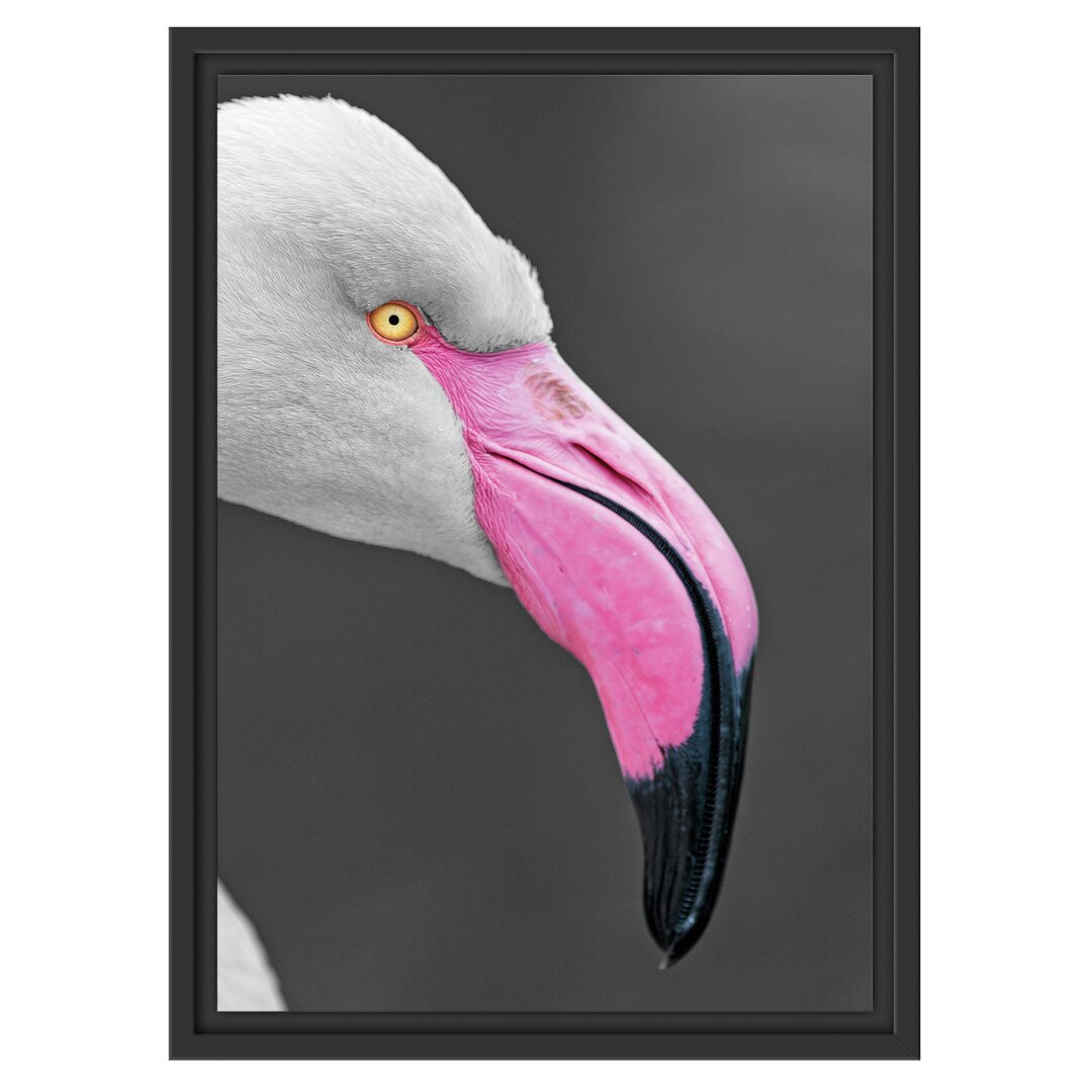 Gerahmtes Wandbild FlamingoSeitenprofil