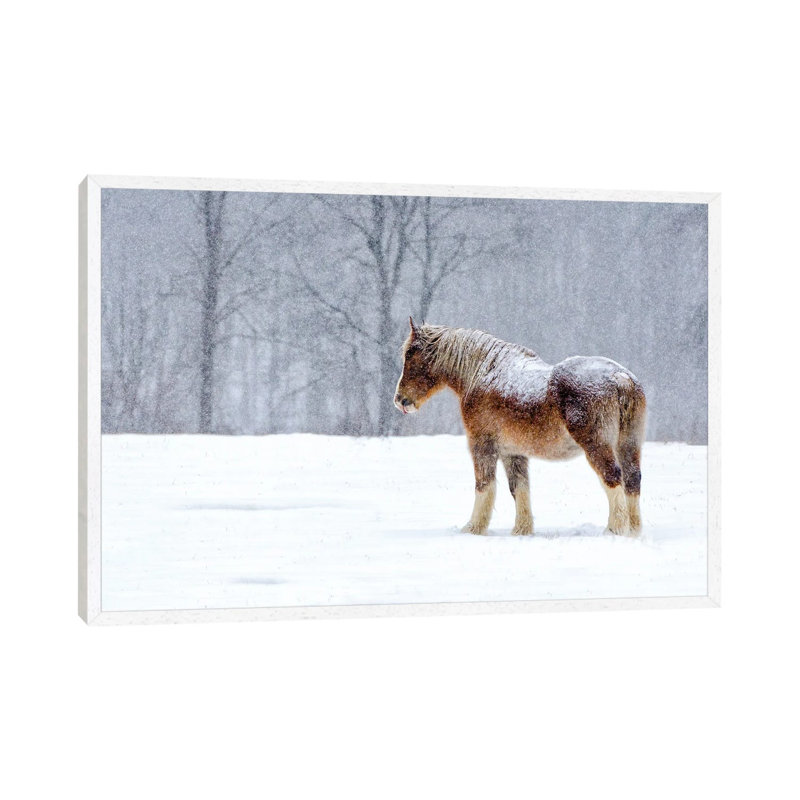 Stoic 1 Piece Wall Art on Canvas, 66.04 cm H x 45.72 cm W, White Framed