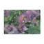 Art mural sur toile Winston Porter-289259623