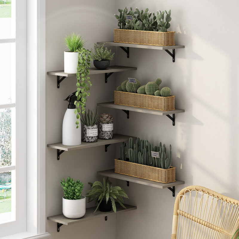 6 Piece Floating Shelf, 0.6" H x 23.6" W x 7.8" D, Metropolitan Pine