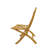 ANDREW FOLDING CHAIR (2-PC)