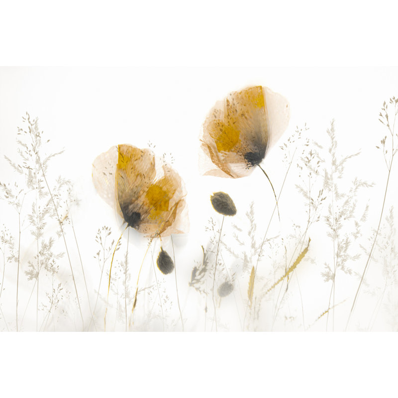 Wrapped Canvas Print, 50.8cm H x 76.2cm W