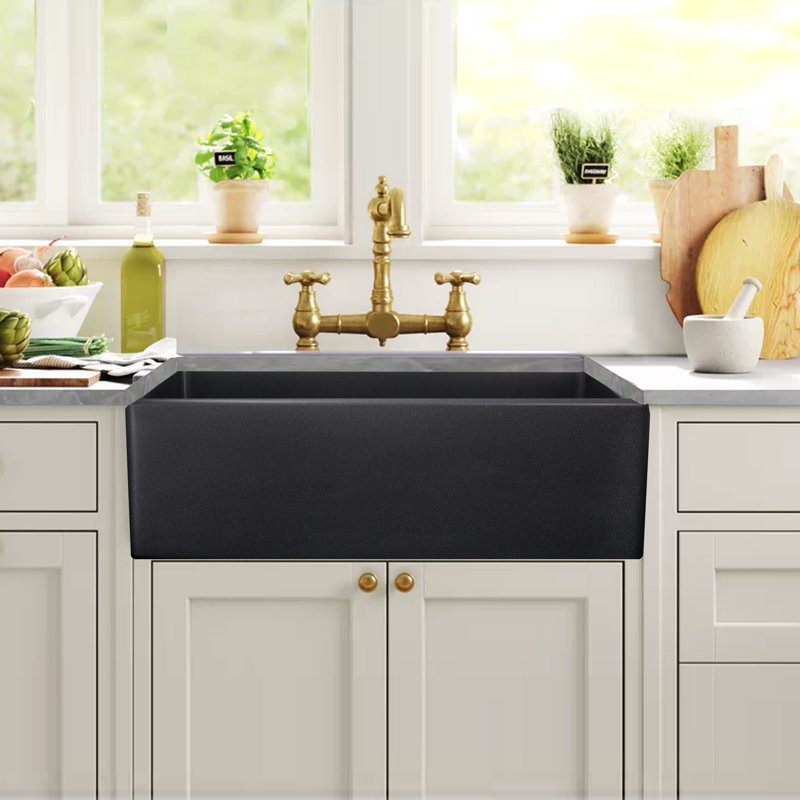 Reinart 30'' L Single Basin Kitchen Sink, Black