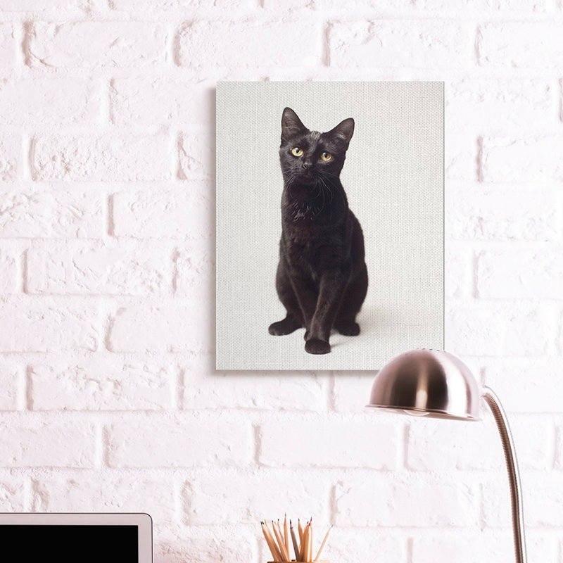 Mignon chat noir aux yeux expressifs, portrait d'animal par Marika Moffit - photographie, Estampe numérique Farmhouse