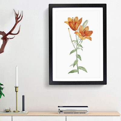 Orange Lily Flowers by Pierre-Joseph Redoute - Picture Frame Painting Print