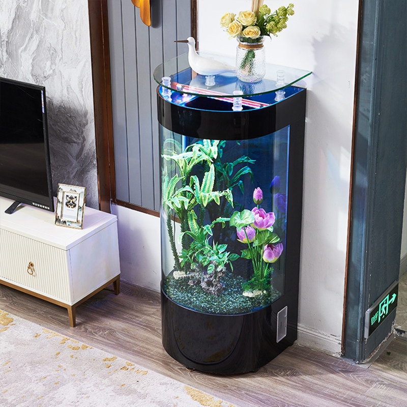 Aquarium 31,5 po, 66,04 gallons (H 54,33 po x l 31,5 po x P 19,69 po, Noir