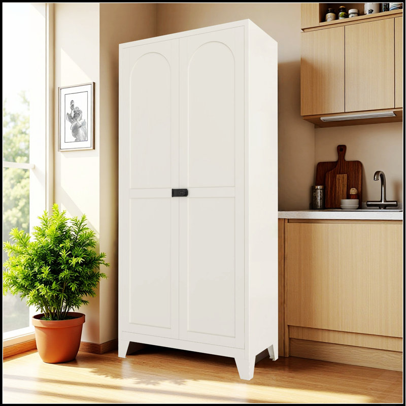 Armoire de rangement sécurisée en métal à 2 portes avec tablettes réglables et serrure, parfaite pour l'organisation à la maison et au bureau