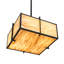 4 - Light Pendant