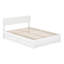 Lit Ause-1763986513-1763986510