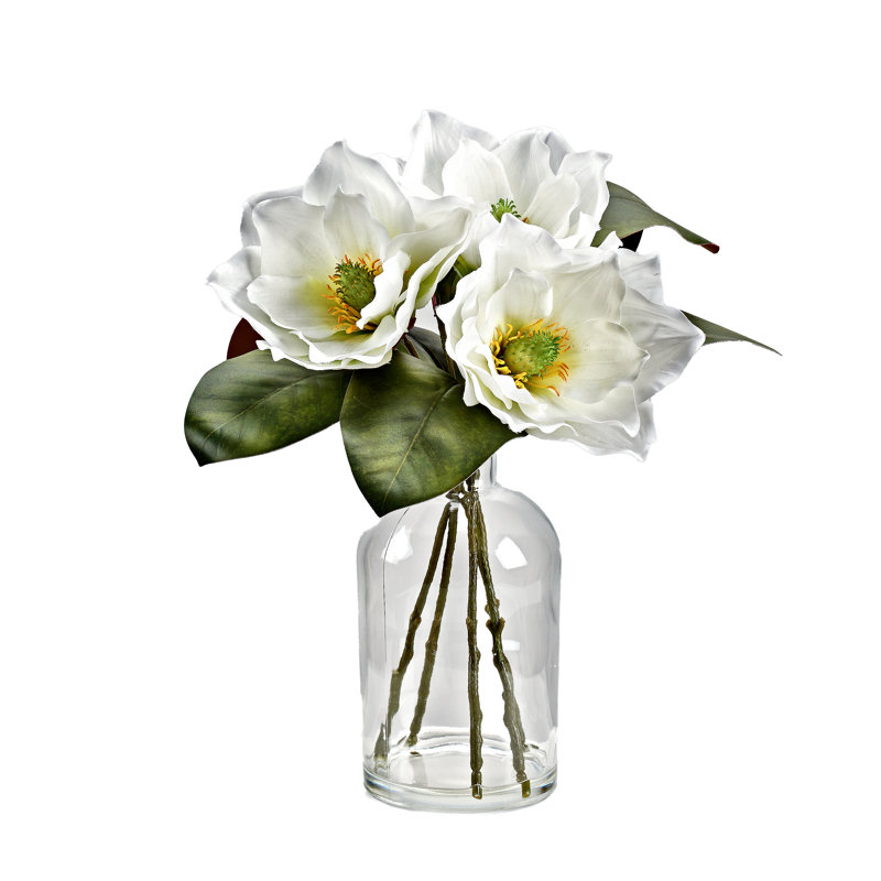 White Magnolias in Glass Vase