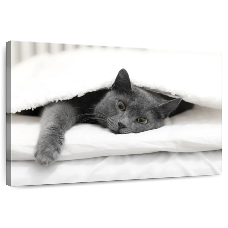 Brampt Lazy Cat, 30" H x 45" W