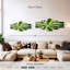 Agave pur-624764767