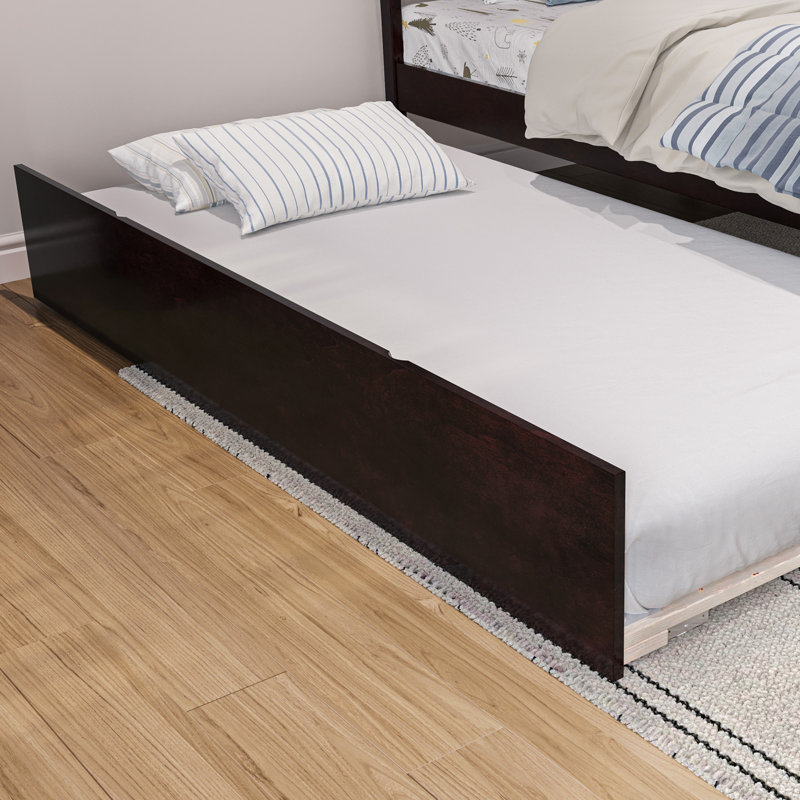 Lit gigogne escamotable en bois massif Rasnick, Espresso, Simple