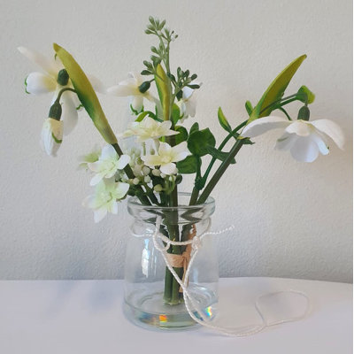 16cm Plant