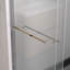 Porte de douche coulissante double en aluminium