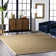 Palacio Farmhouse Seagrass Area Rug in Beige