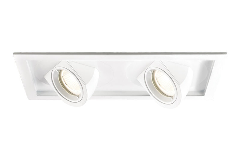 Tesla Multi-Spotlight