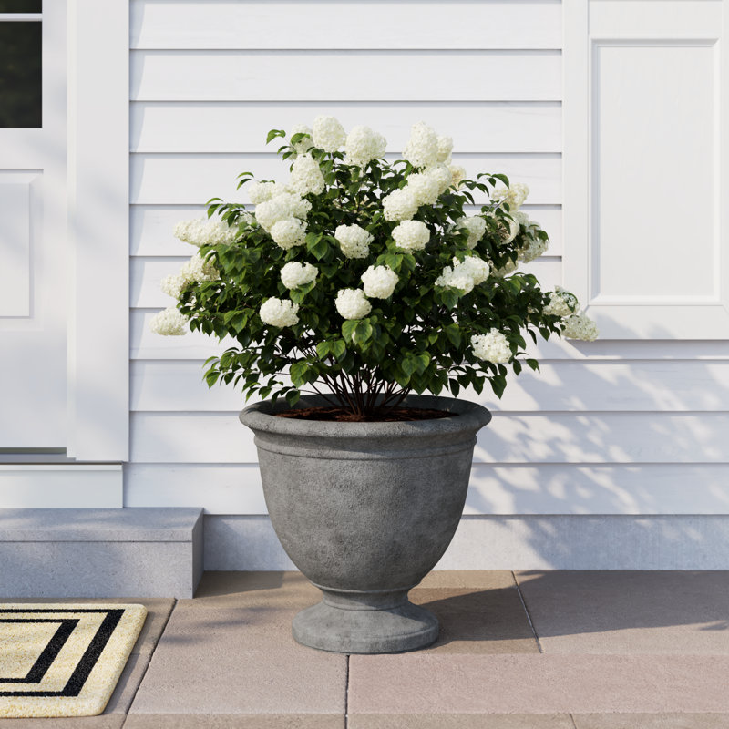 Surrey Urn Planter, Large