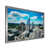 Silver Picture Framed