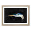 Heron Portrait - Picture Frame Graphic Art Print-56863493-56863496