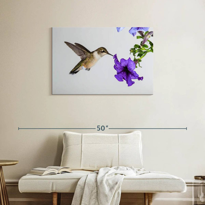 Colibri fleur mauve Brampt, H 24 po x l 36 po
