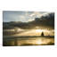 " Basking In Light " by Don Schwartz-21470269-74638575-74638576