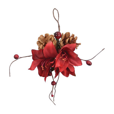 Plante suspendue amaryllis