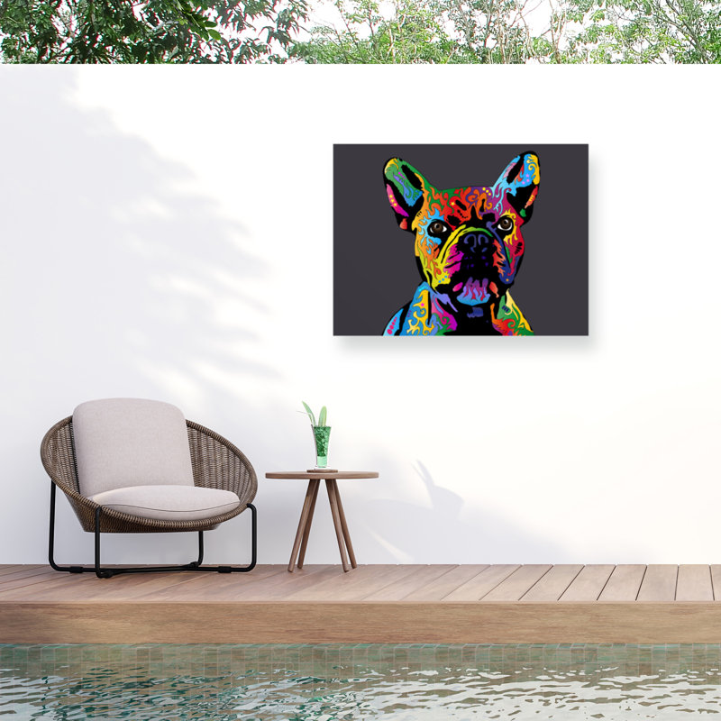 Bouledogue français bolognais gris, H 24 po x l 32 po