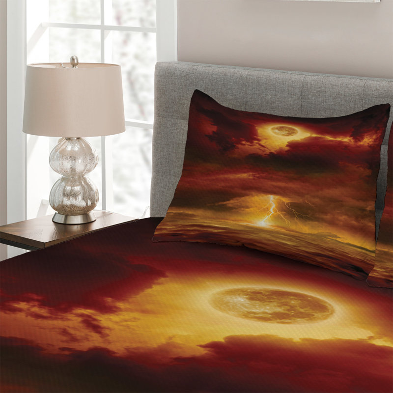 Modern & Contemporary Polyester Coverlet