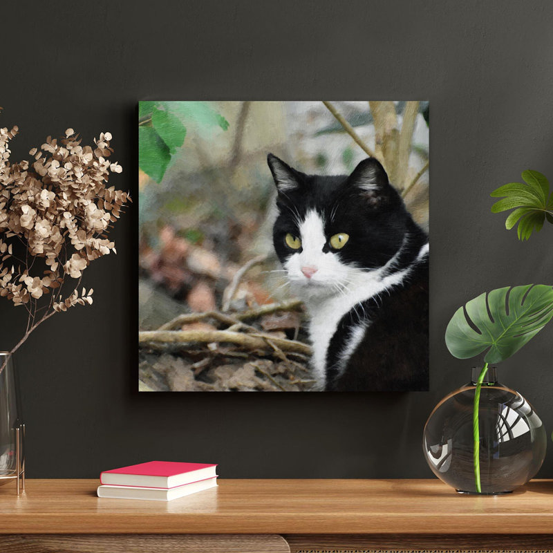 Chat blanc noir dans le jardin - Impression sur toile tendue carrée 1 pièce, H 32 po x l 32 po x P 2 po