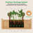 Genthner Wood Planter Box