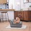 Lounge Dog Bed with Storage for Small and Medium Dogs-99196784