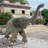 Good Luck Trunk-Up Baby Elephant Statue
