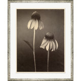 Sepia Flowers 8 Print by Bespoke By Baker