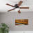 Alvina 44'' Ceiling Fan with LED Lights-765932369