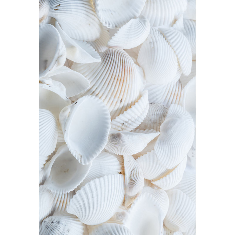 Stylish Hall Carpet (2.6 x 4.9 ft), 100% Polyester, 0.3 in Pile Height | Non-Slip PVC Dot Underside, 3D Digital Printing | Machine Washable, Durable & Easy Care, Perfect for Entryways & Living Rooms