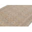 Hand Knotted Area Rug in Beige/Brow/Blue