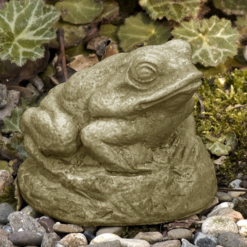 Statue de petite grenouille, Mousse anglaise