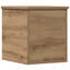 Camp Trunk / Footlocker-555987798