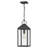 Dewayne 1 - Light Lantern Pendant