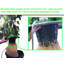 Viagrow Hydroponic Unit