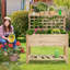 Lit de jardin surélevé avec treillis 41,5 x 16 x 54 po Donnie