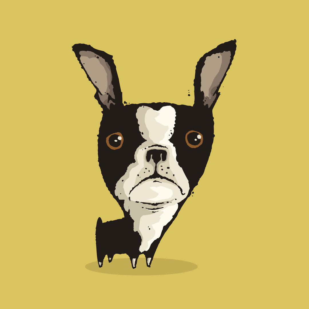 Boston Terrier von Quisp65 - Kunstdrucke auf Leinwand ohne Rahmen