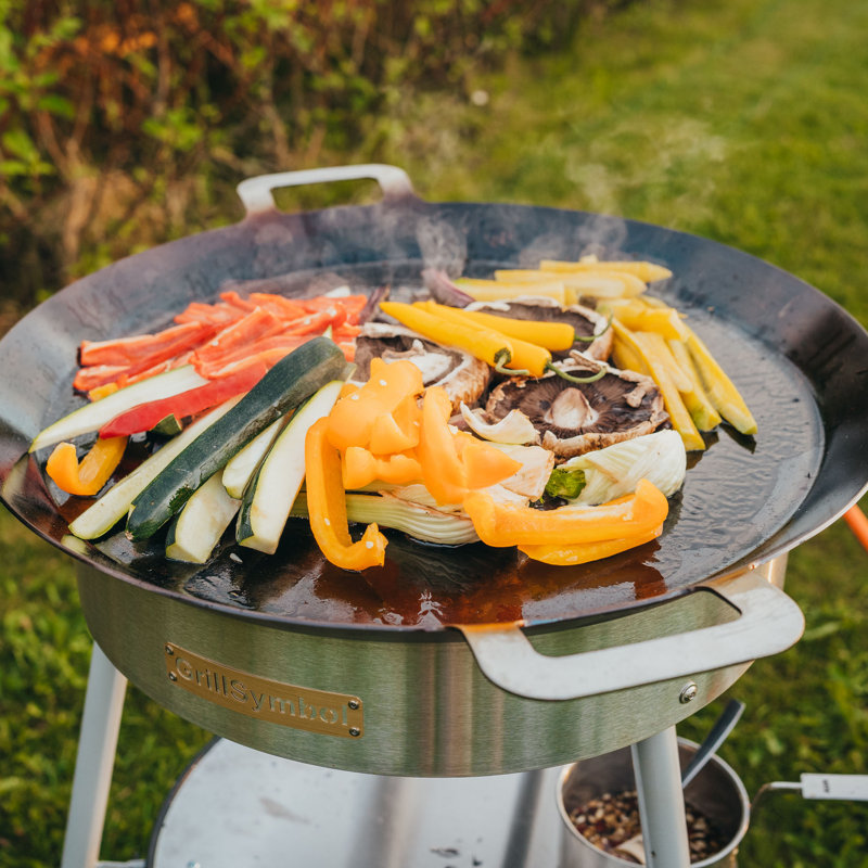 58cm Paella 2-Burner Liquid Propane Barbecue Grill