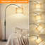 Danaijah 180cm Arched Floor Lamp
